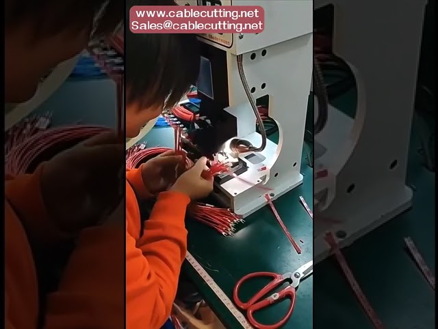 Бесплатный образец: синий обжимной наконечник «папа» с предварительной изоляцией